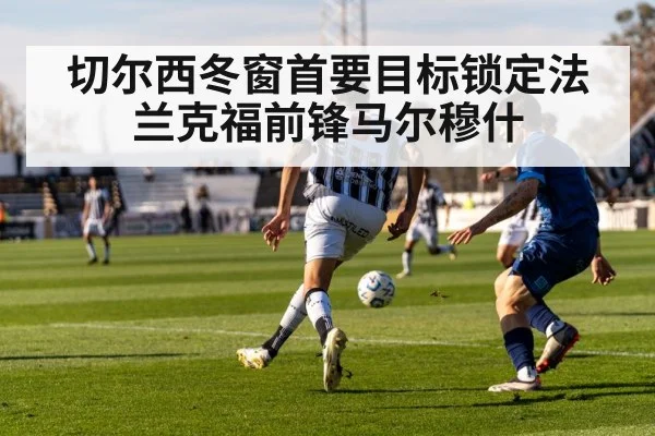 soccer stadium action