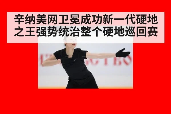 辛纳美网卫冕成功新一代硬地之王强势统治整个硬地巡回赛
