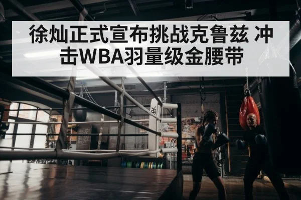 徐灿正式宣布挑战克鲁兹 冲击WBA羽量级金腰带